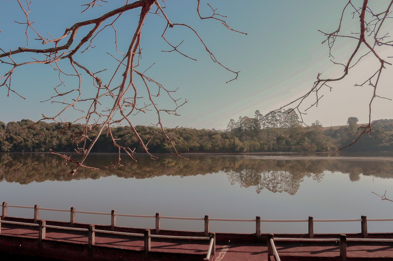 Parque Ecol Gico Da Raposa Turismo Apucarana